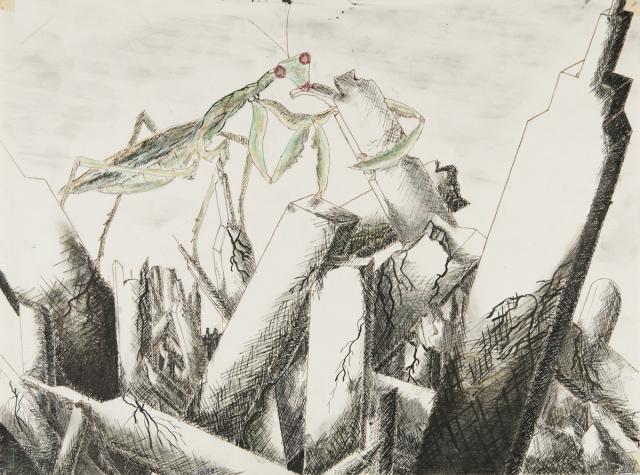 Angriff von Rieseninsekten