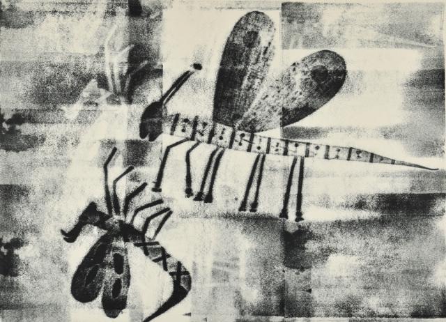 Gefährliche Insekten