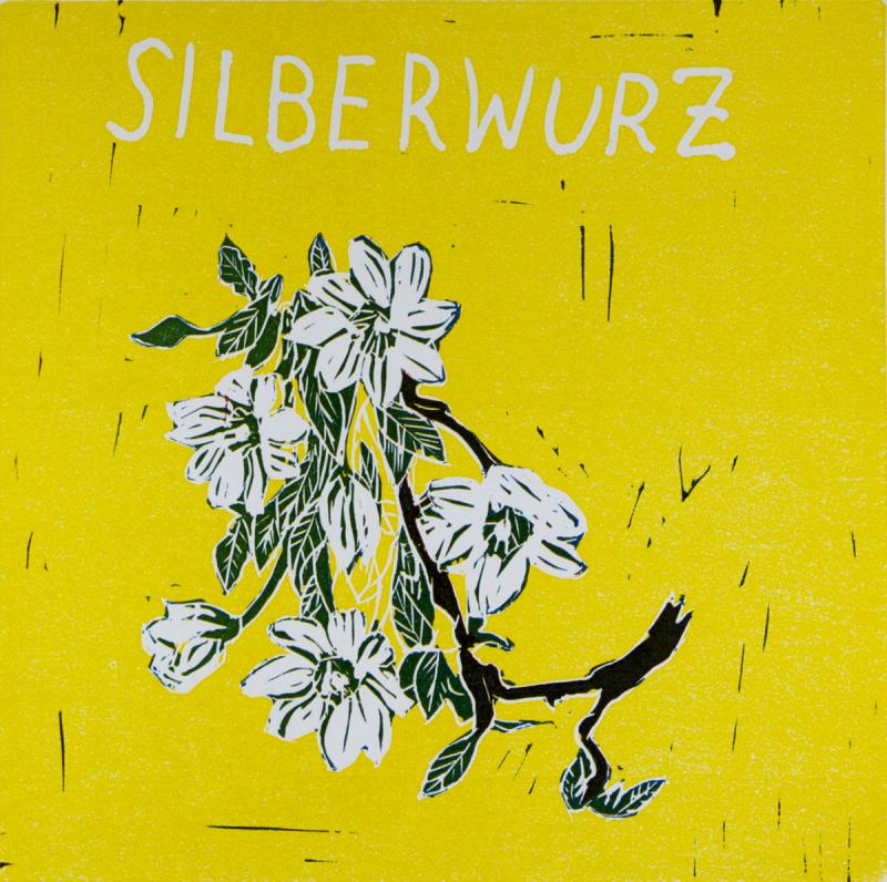 2004: Blüten