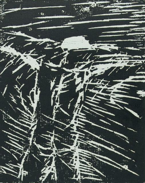 Projektarbeit Klasse 10 - 12