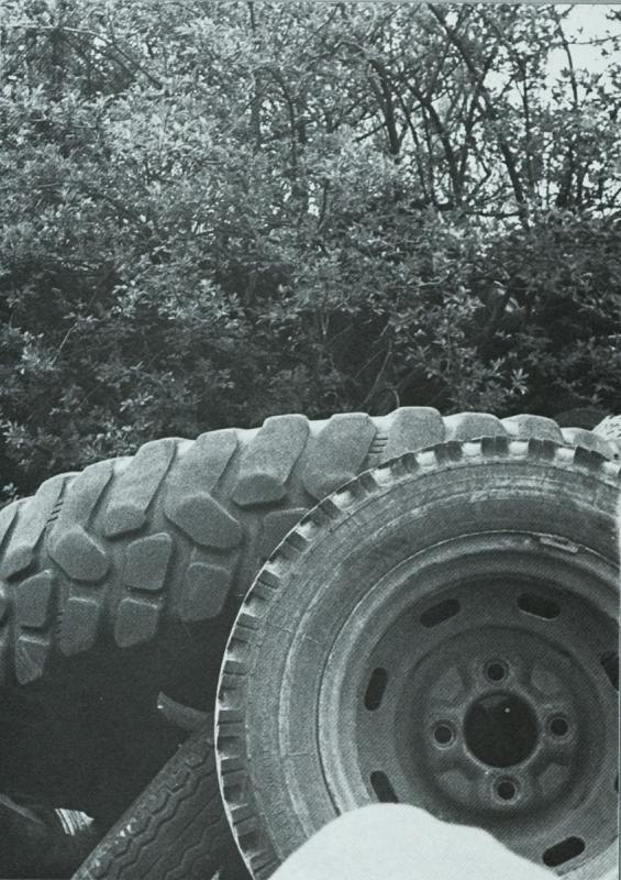 1984 Architektur + Natur