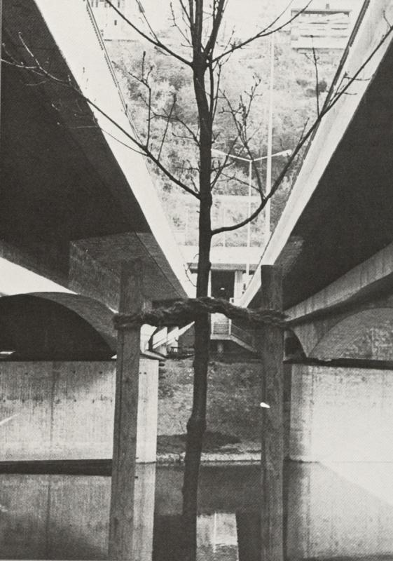 1984 Architektur + Natur