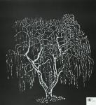 1984 Architektur + Natur