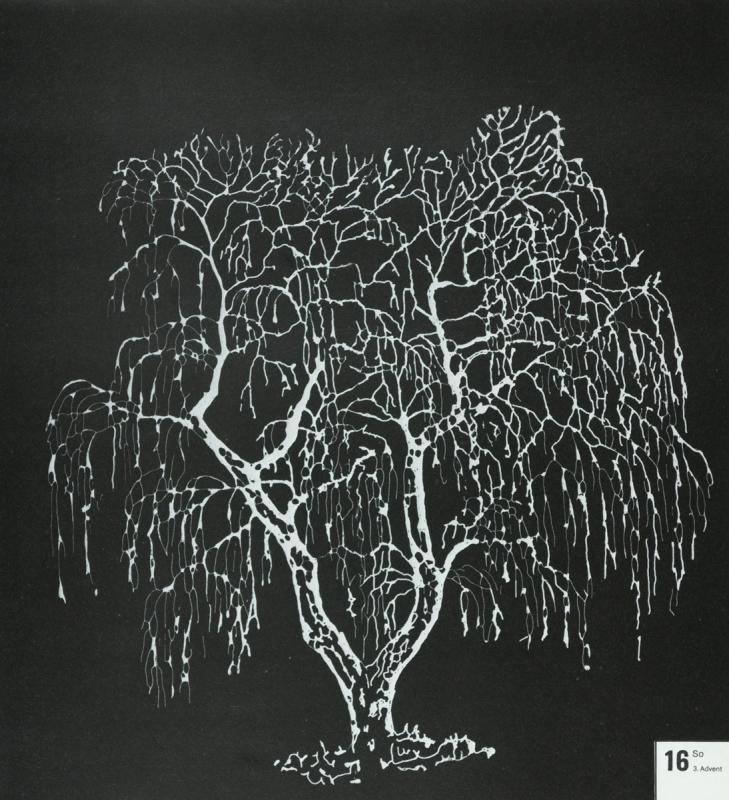 1984 Architektur + Natur