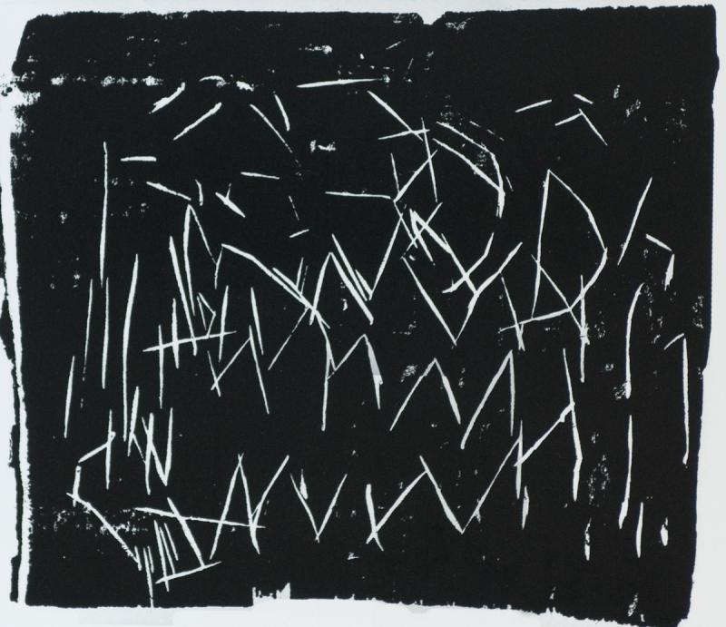 2011:  Bilder aus Holz