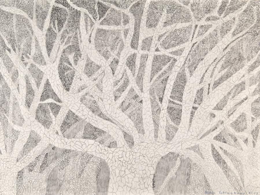 Pflanzliches: Geäst