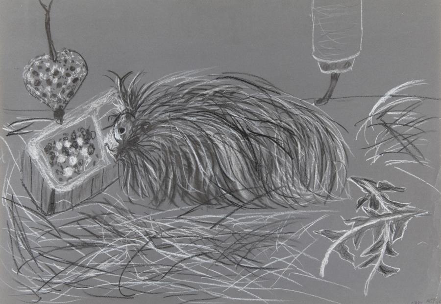 Tier: Meerschweinchen