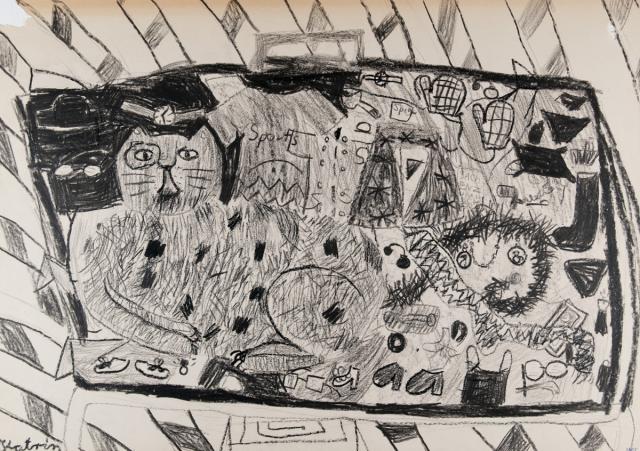 Tier: Die Katze im Koffer