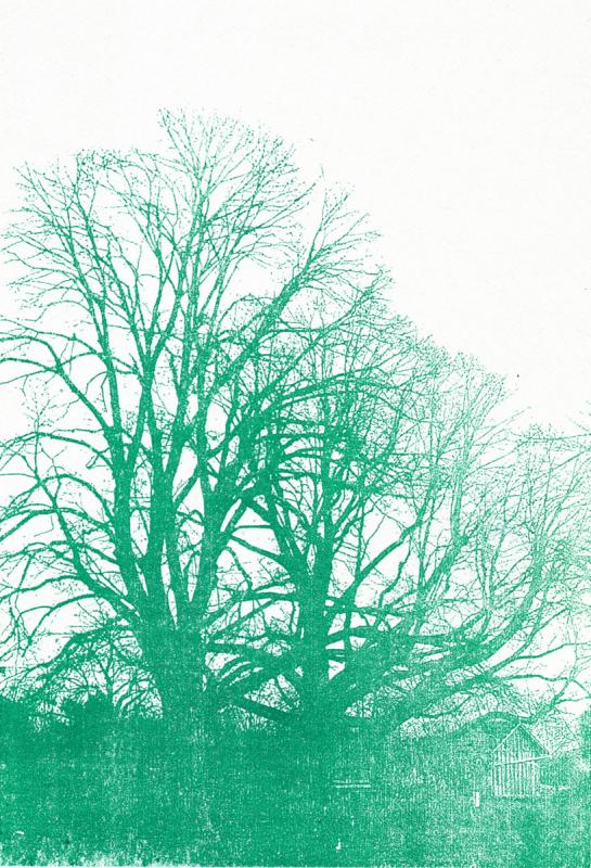 Tübinger Stadtfriedhof