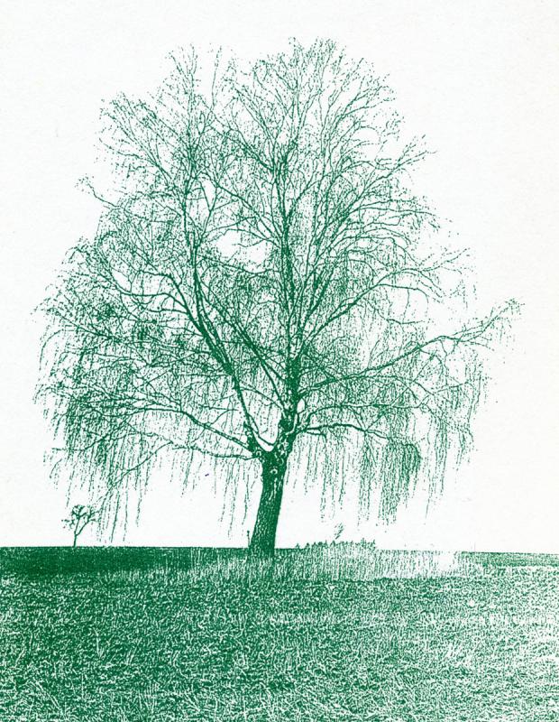 Tübinger Stadtfriedhof