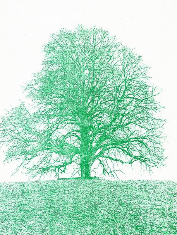 Tübinger Stadtfriedhof