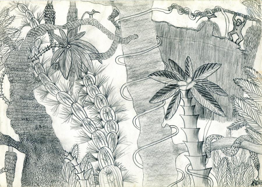 1954/55 E. Trützler