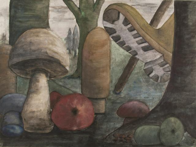 Pilze: Makroperspektive