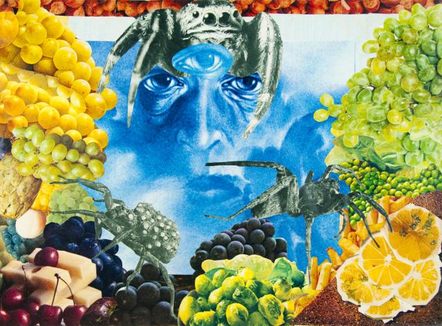 Surrealistisches Stillleben