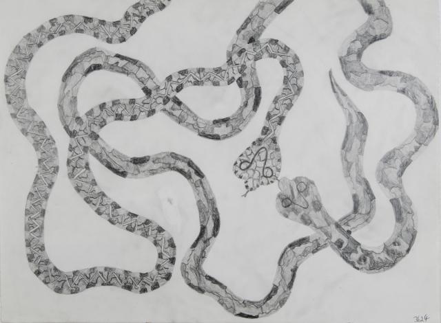 Tiere: Schlangen