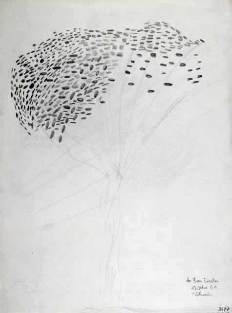 Pflanzliches: Baumtest nach Koch