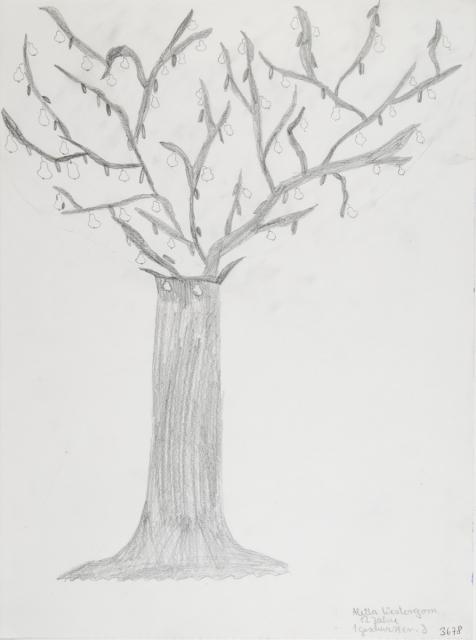 Pflanzliches: Baumtest nach Koch