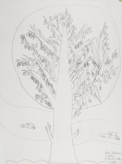 Pflanzliches: Baumtest nach Koch