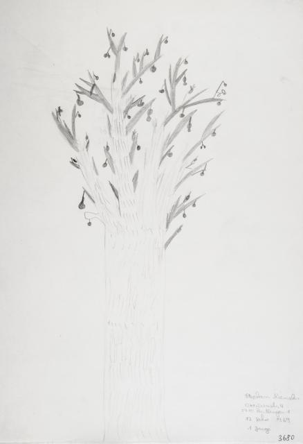 Pflanzliches: Baumtest nach Koch