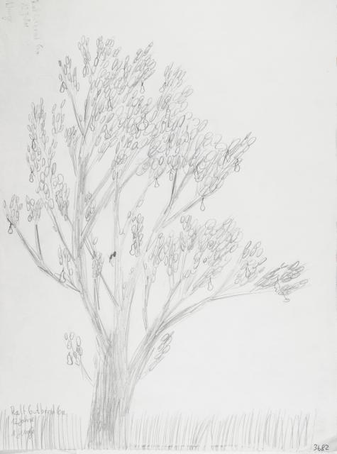 Pflanzliches: Baumtest nach Koch