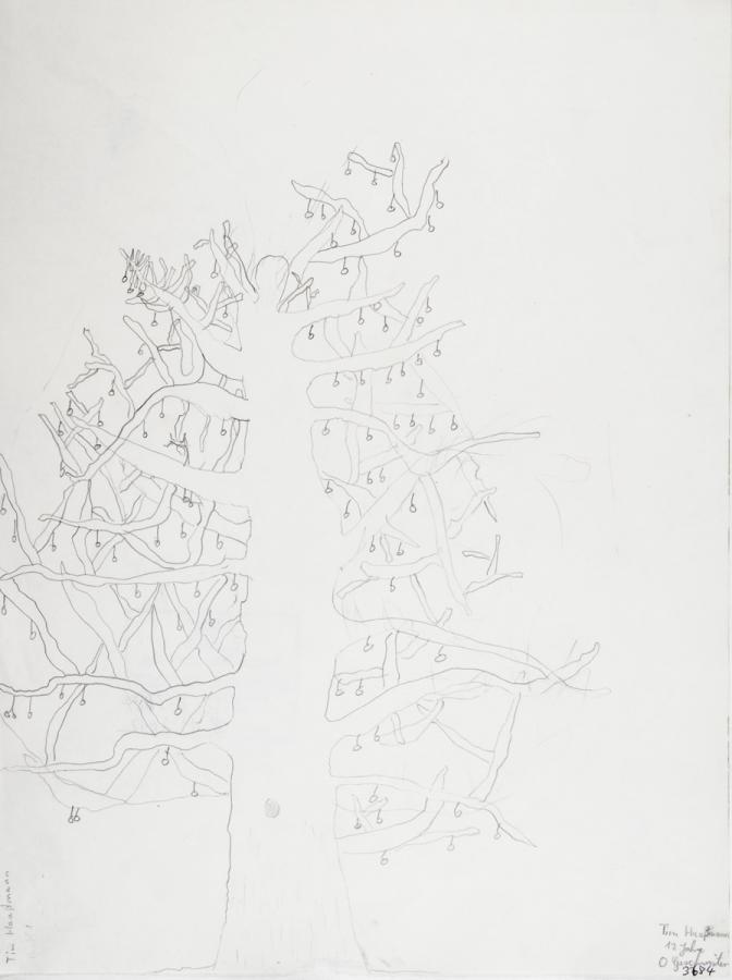 Pflanzliches: Baumtest nach Koch