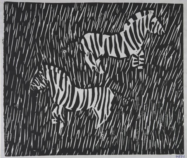Zebras