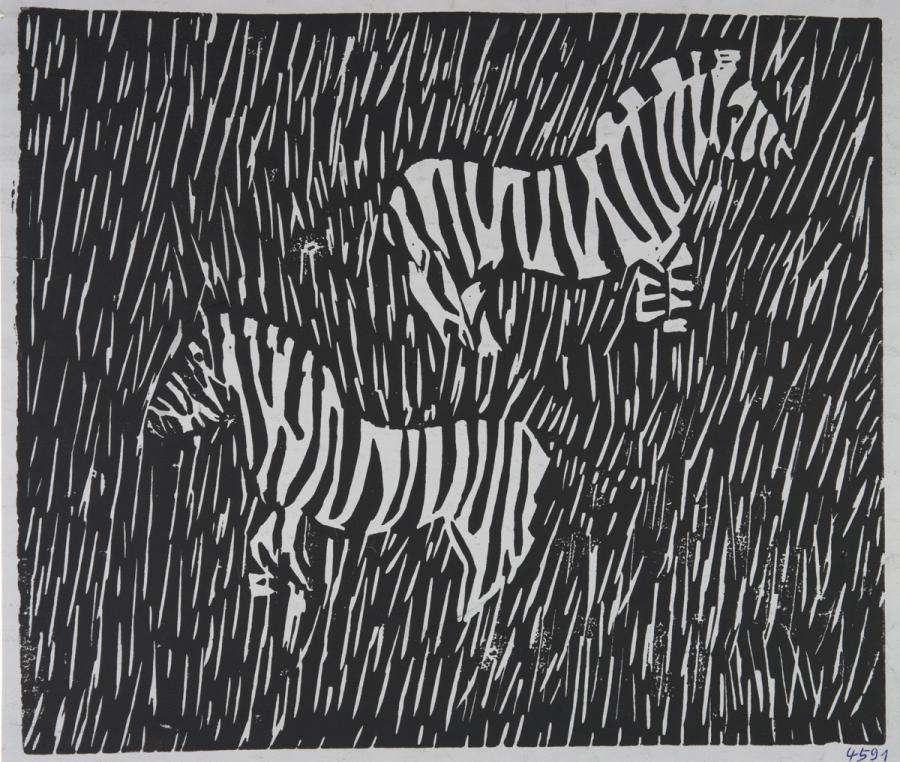 Zebras