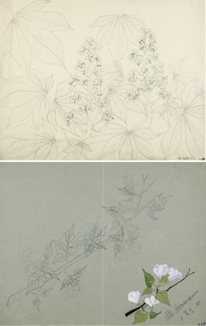 Kastanien- und Apfelblüte