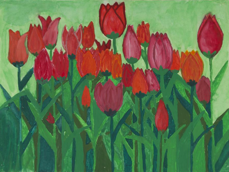 Tulpen