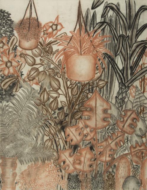 Pflanzen: Im Gewächshaus