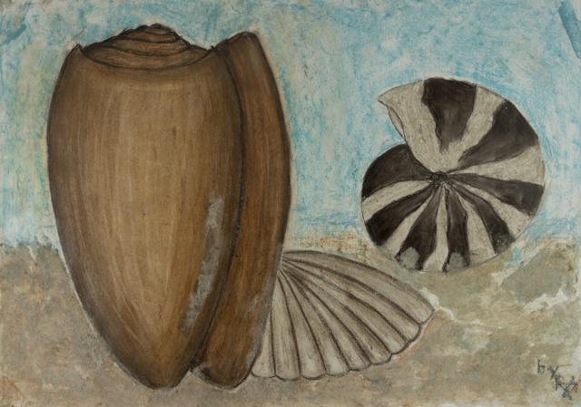 Stillleben: Muscheln