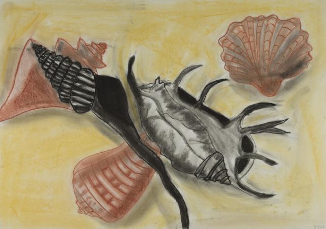 Stillleben: Muscheln