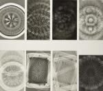 Fotogramm: Materialqualität durchsichtig - undurchsichtig