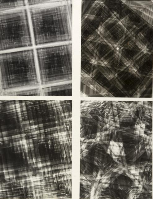 Fotogramm: vom Zufall bestimmt