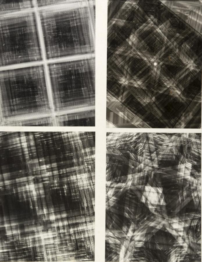 Fotogramm: vom Zufall bestimmt