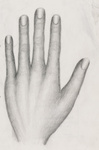 Hand