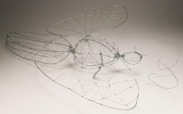 Drahtobjekt