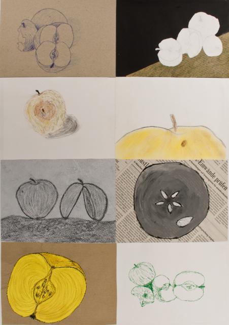 Studien zum Apfel