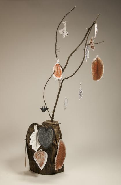 Zeichnungen der Natur