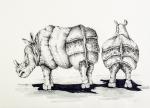 Rhinozeros