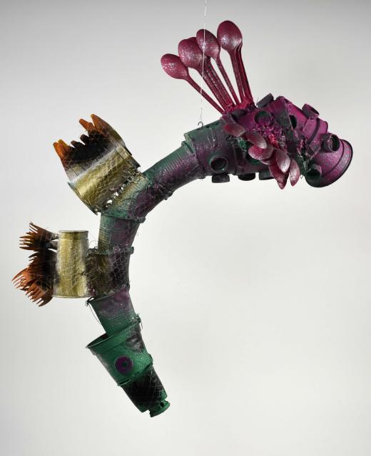 Meeresbewohner der Zukunft, Das Becherpferdchen