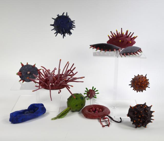 "Latex infiziert"   -   Mikroben