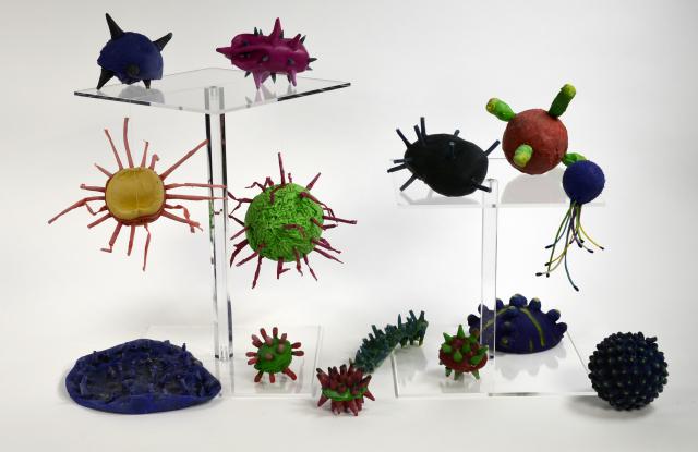 "Latex infiziert"   -   Mikroben