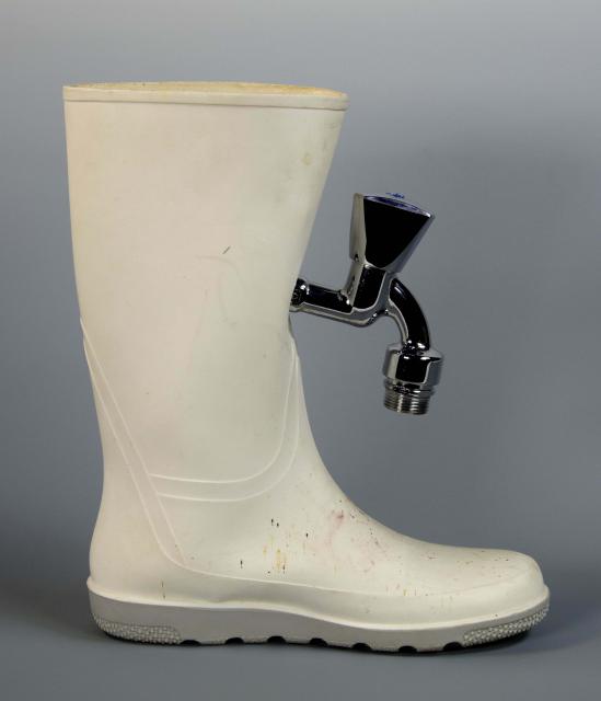 Felix`sauberer Schuh