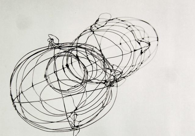 Drahtköpfe Fotografie