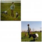 Junge mit seinen Ziegen