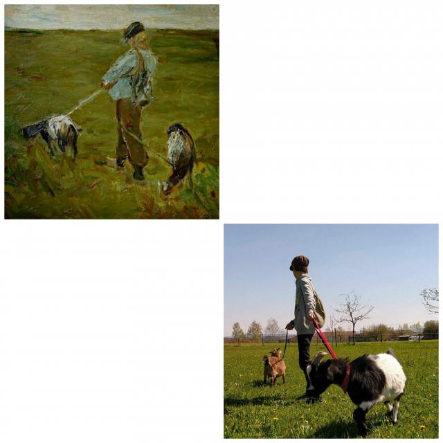 Junge mit seinen Ziegen