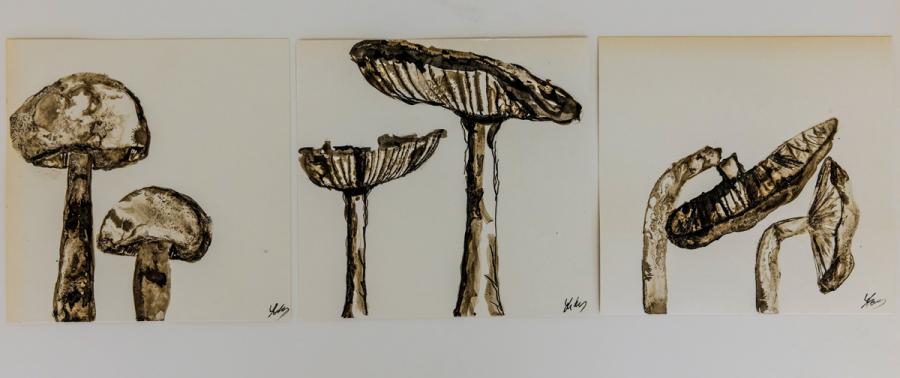 Schönheit der Vergänglichkeit