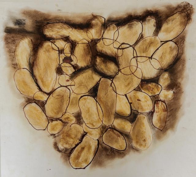 Kartoffeln im Erdreich