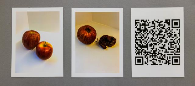 Vergänglichkeit des Apfels